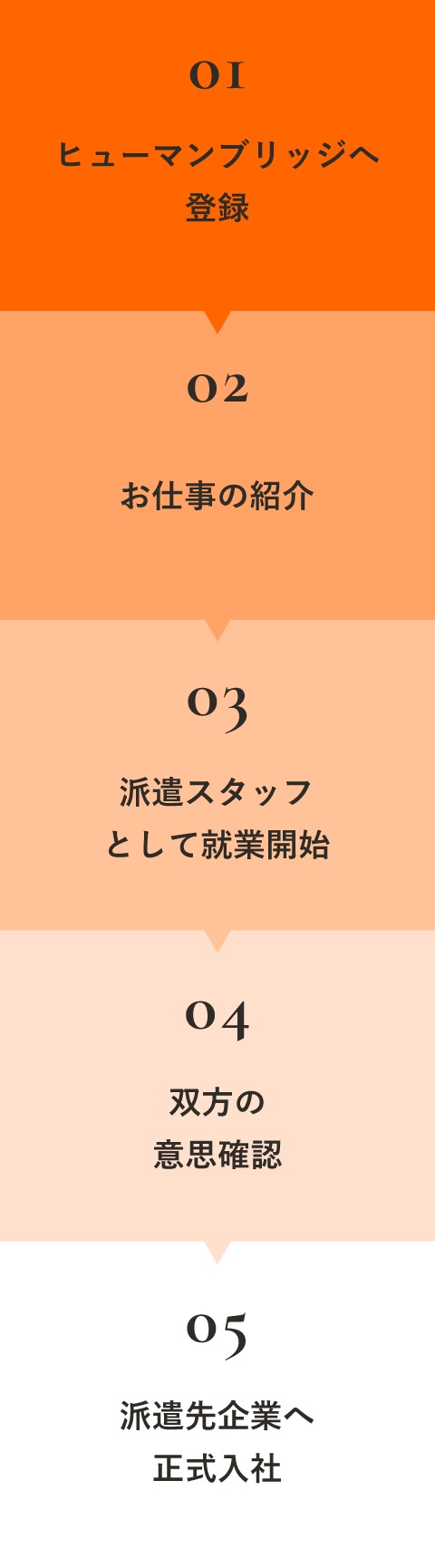 紹介予定派遣で働く